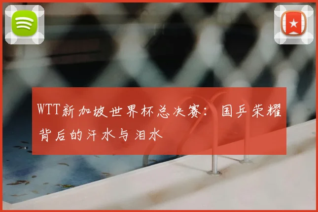 WTT新加坡世界杯总决赛：国乒荣耀背后的汗水与泪水