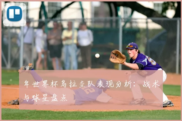 年世界杯乌拉圭队表现分析：战术与球星盘点