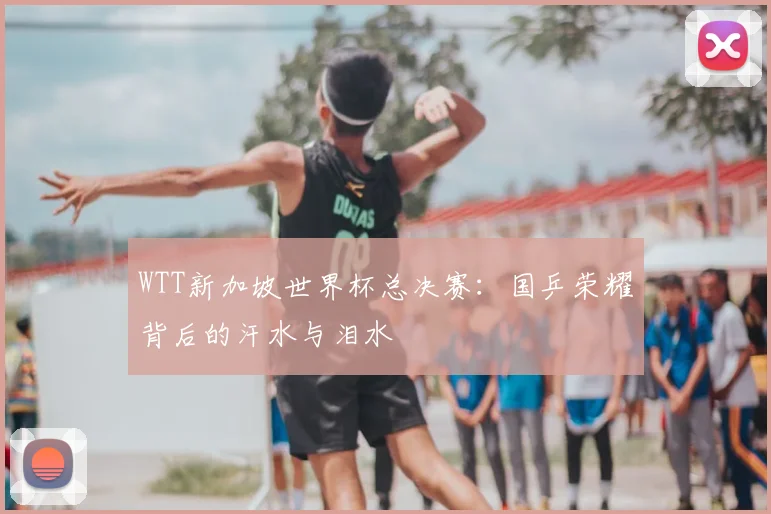 WTT新加坡世界杯总决赛：国乒荣耀背后的汗水与泪水