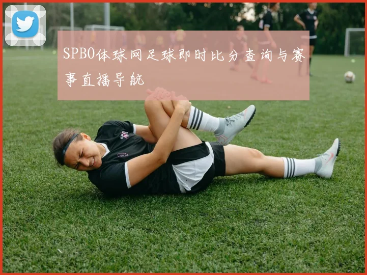 SPBO体球网足球即时比分查询与赛事直播导航
