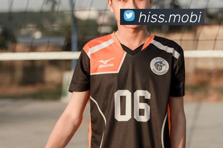 开云app最新版下载网站平台生态图