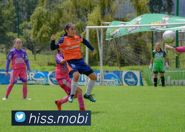 开云app最新版下载网站APP 封面图